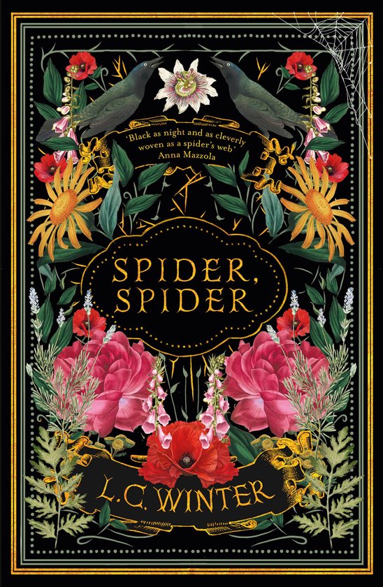 Spider, Spider - cover
