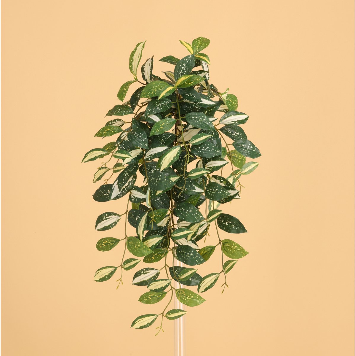maxifleur Kunstplanten Dracaena Surculosa Milky way Kunst Hanger 75cm Groen