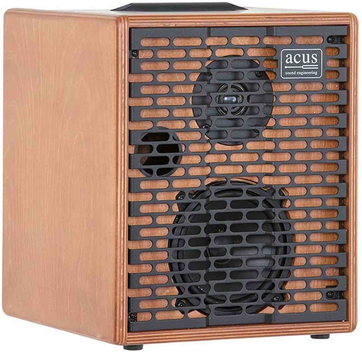 Acus OFS-5 versterker voor akoestische instrumenten 40W 2 kanalen