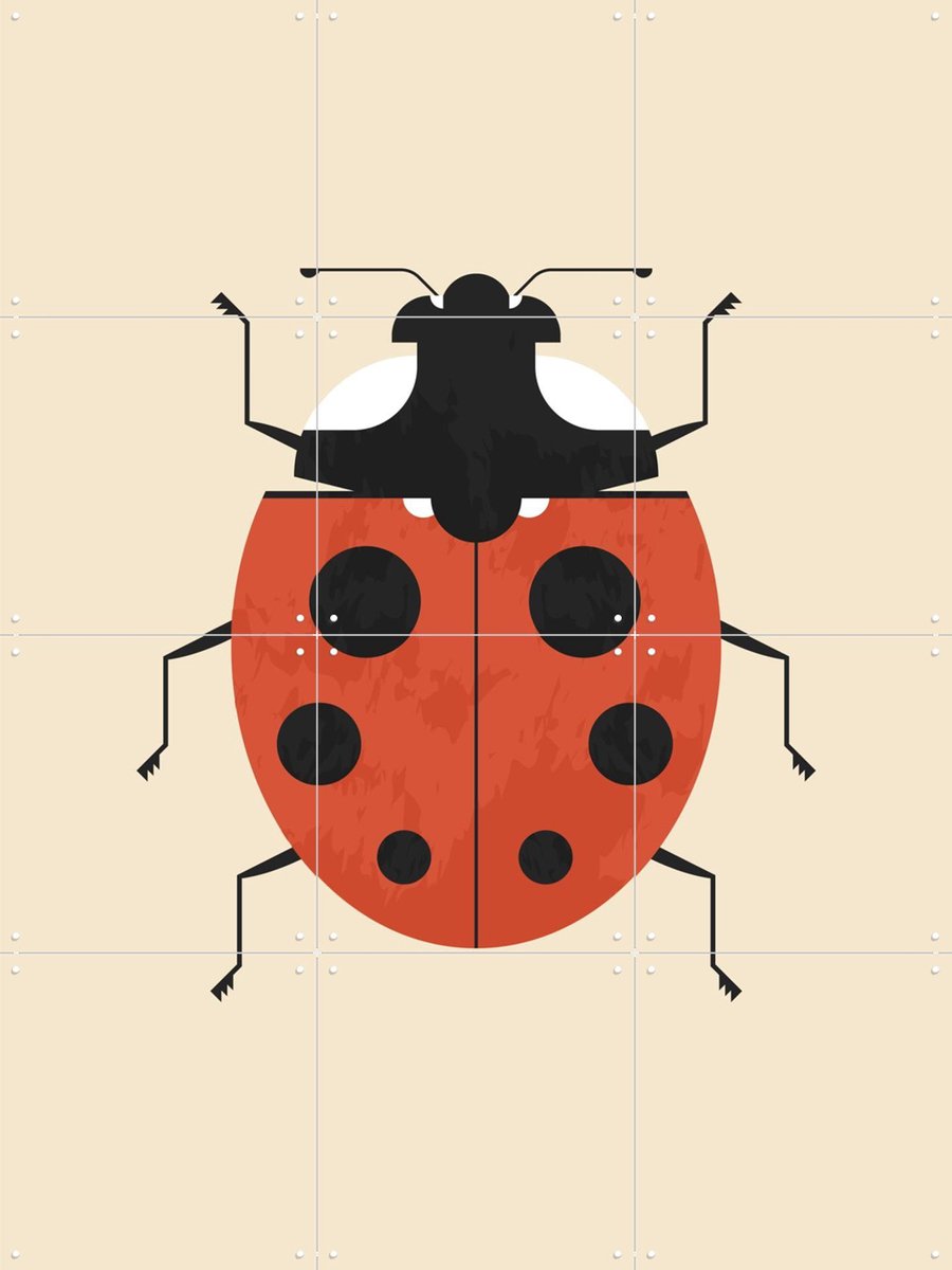 IXXI The Ladybug, Studio Kars + Boom - 60 x 80 cm - Gratis ophangtool - Grote wanddecoratie en posters - Grafisch Ontwerp, Speels, Digitale Kunst