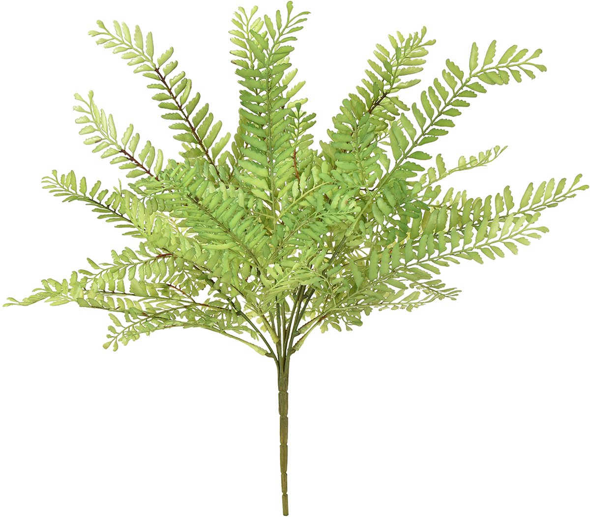 Viana Kunstmatige varen decoratie kunstmatige varen kunstplant groen 42cm groente
