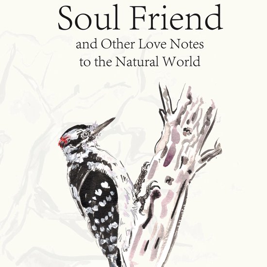 Soul Friend - cover