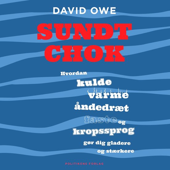 Sundt chok - cover