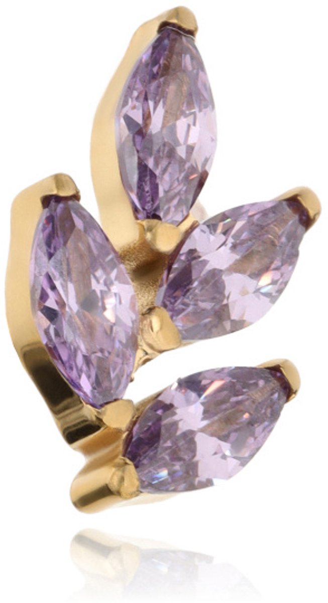 Crazy Needles - TNA-091 - Titanium Moer met Violette Zirconia - Goud