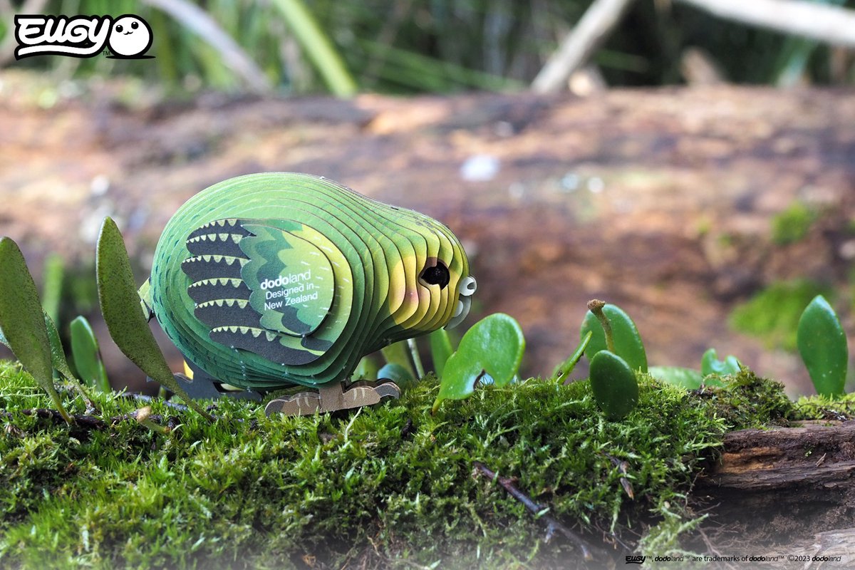 EUGY 3D Puzzel - Kakapo - Vogels - Duurzaam - Verzamel Ze Allemaal - 6 Jaar — afbeelding 5