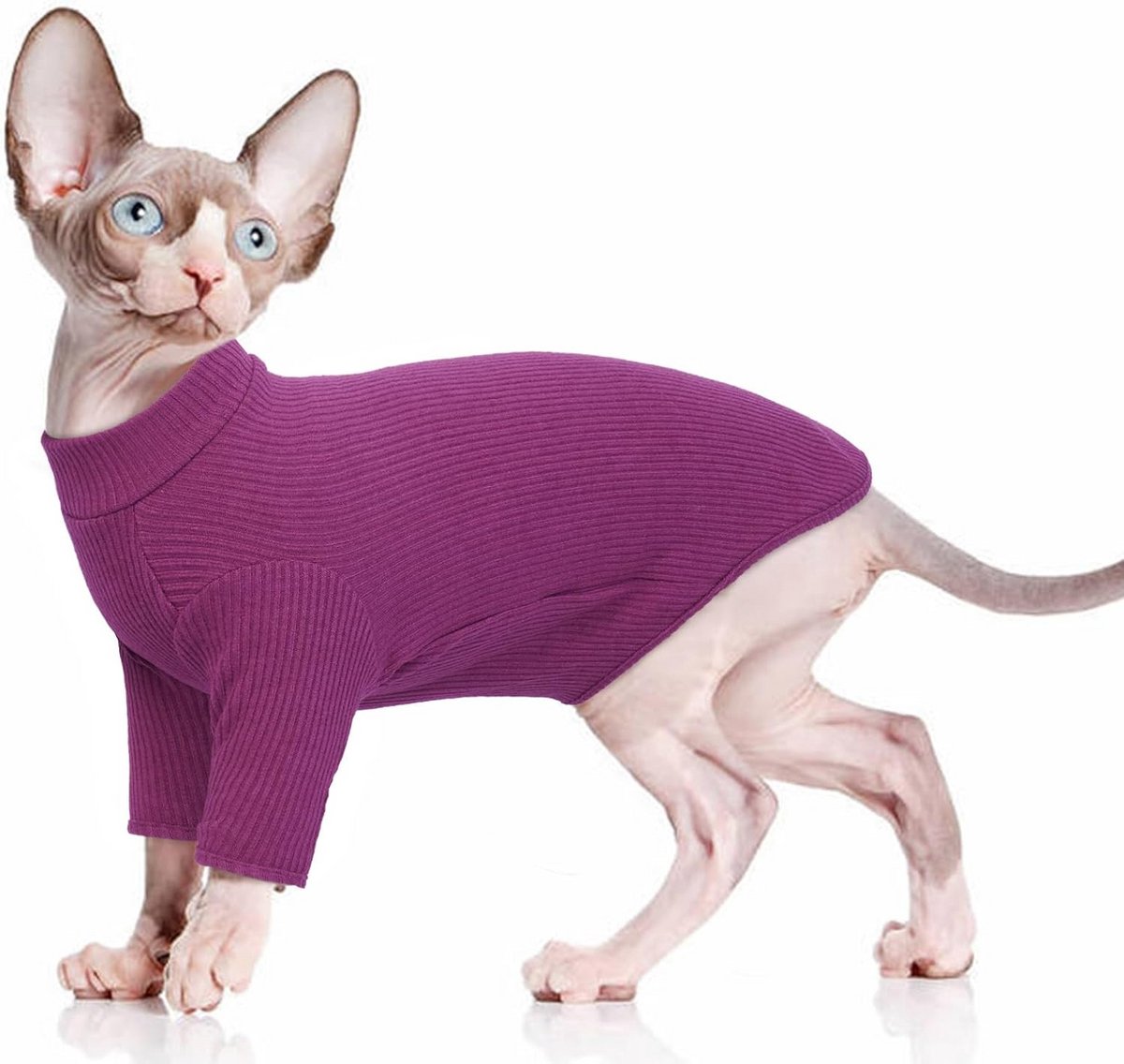 Warm Katoenen Trui met Rolkraag voor Sphynx Katten - Ademend & Zacht Huisdierkleding