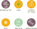 Illustraties van plantkenmerken: winterhard tot -20°C, groene kleur, vruchtperiode juli-augustus, zon, hoogte 150 cm, snoeien in de herfst.