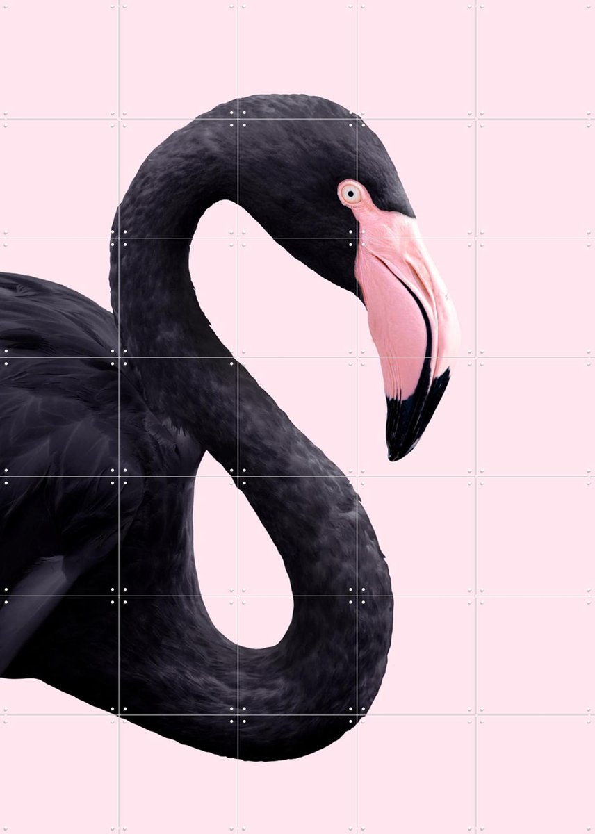IXXI Black Flamingo, Paul Fuentes - 100 x 140 cm - Gratis ophangtool - Grote wanddecoratie en posters - Speels, Kleurrijk, Grafisch Ontwerp, Digitale
