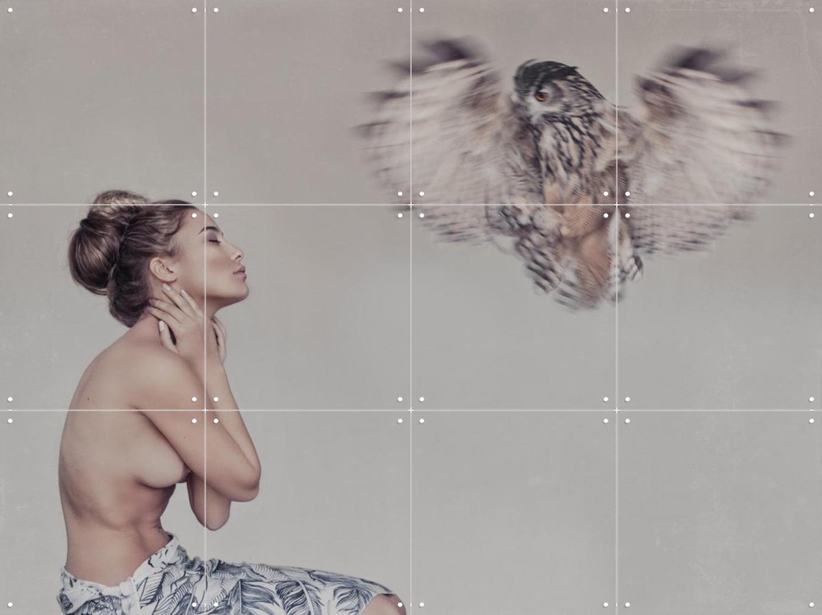 IXXI Feathers, STUDIO HANNAH LEMHOLT - 80 x 60 cm - Gratis ophangtool - Grote wanddecoratie en posters - Fotografie, Surrealisme, Woonkamer