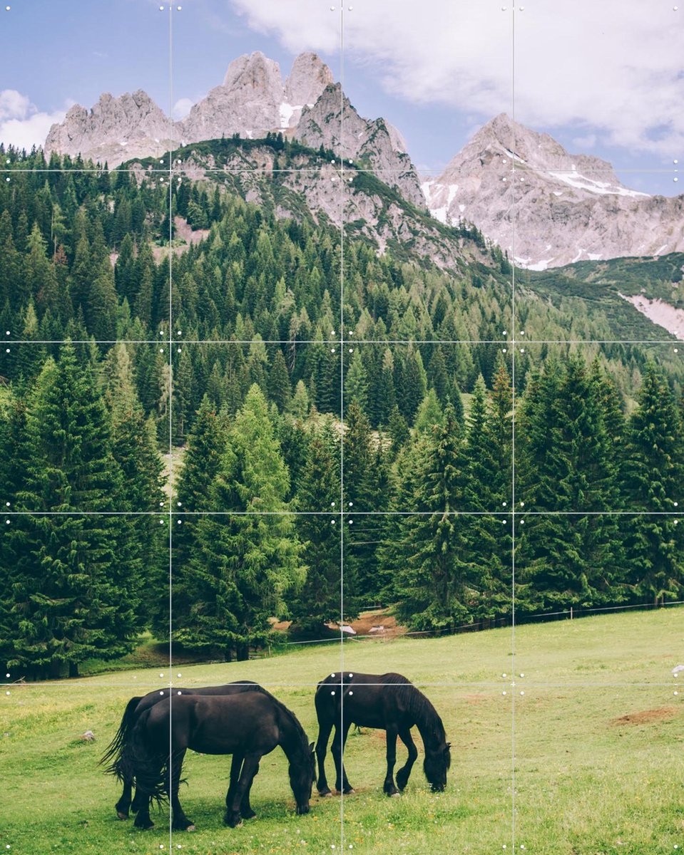 IXXI Friesian Horses in Alps, Pati Photography - 80 x 100 cm - Gratis ophangtool - Grote wanddecoratie en posters - Naturalisme, Fotografie