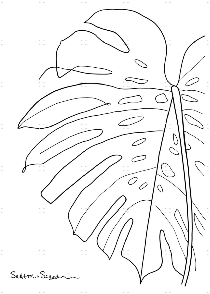 IXXI Monstera white, Sefton & Segedin - 100 x 140 cm - Gratis ophangtool - Grote wanddecoratie en posters - Minimalisme, Grafisch Ontwerp
