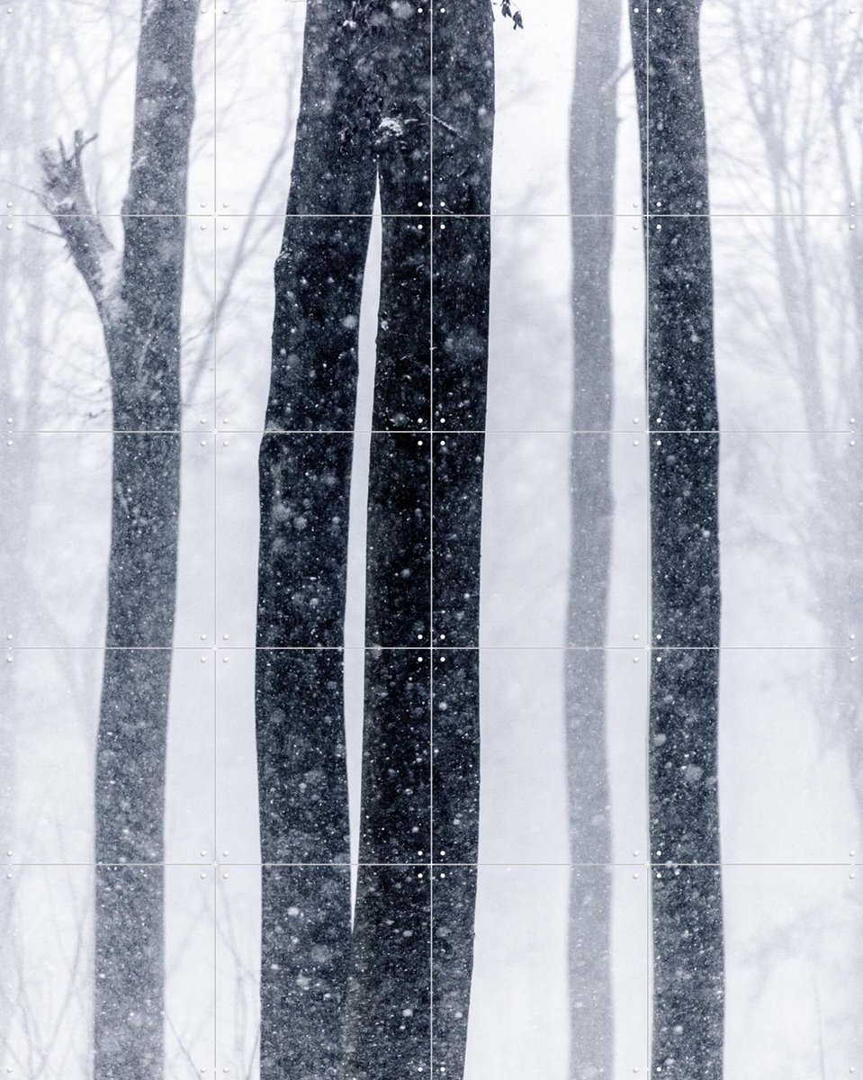 IXXI Snow Trees 2, Mareike Böhmer - 80 x 100 cm - Gratis ophangtool - Grote wanddecoratie en posters - Fotografie, Woonkamer, Slaapkamer, Bossen