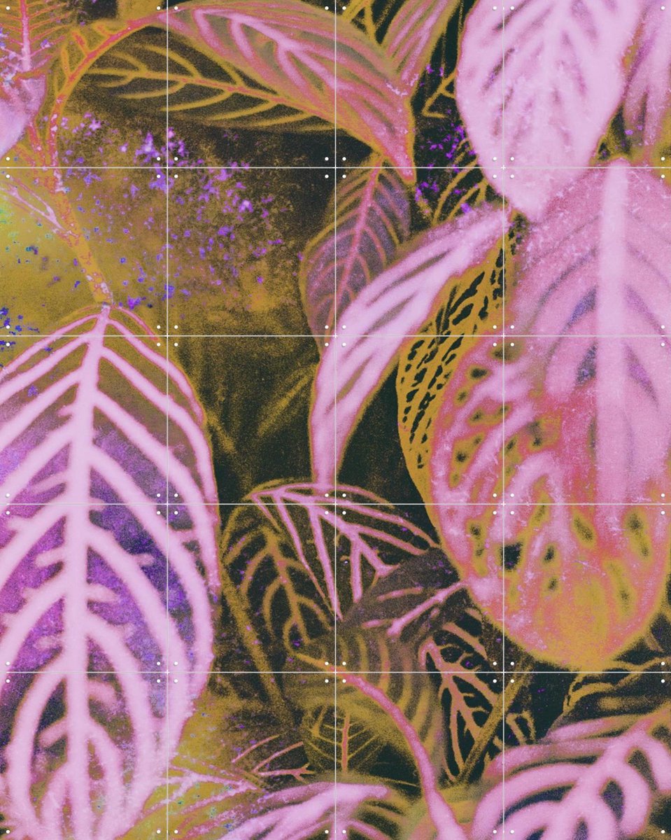 IXXI Seek, Amber Lauder - 80 x 100 cm - Gratis ophangtool - Grote wanddecoratie en posters - Illustraties, Kleurrijk, Digitale Kunst, Abstract