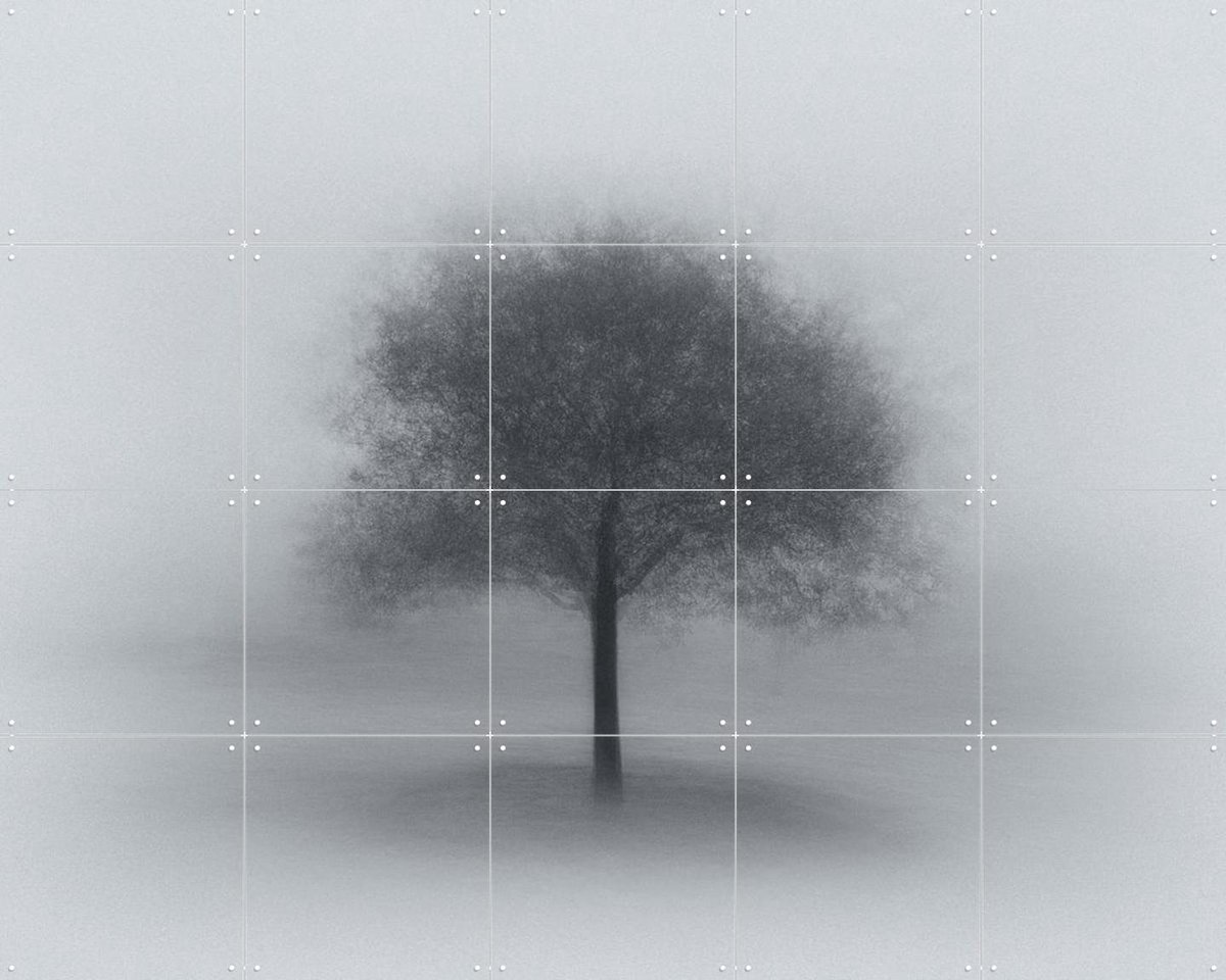 IXXI Tree in Fog, Aidong Ning & Various - 100 x 80 cm - Gratis ophangtool - Grote wanddecoratie en posters - Fotografie, Minimalisme, Slaapkamer