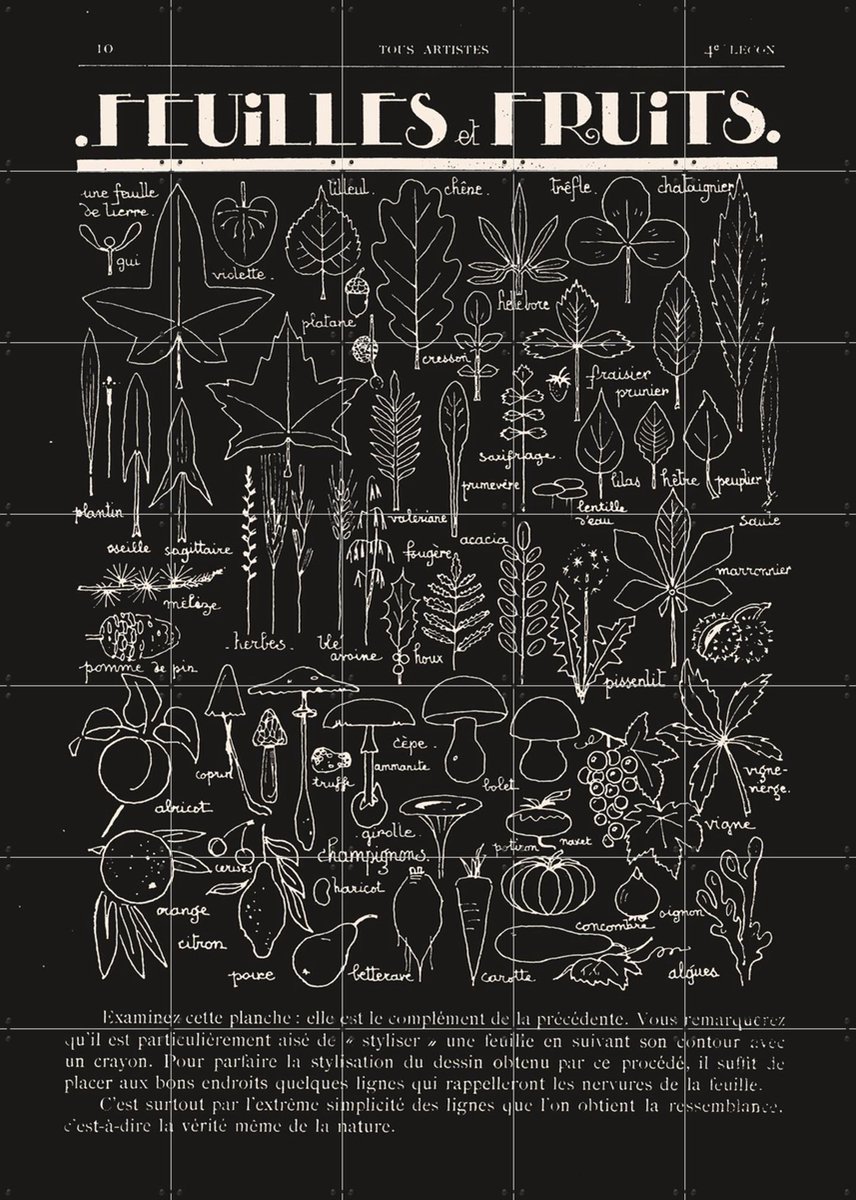 IXXI Feuilles et Fruits noir, Aster Edition - 100 x 140 cm - Gratis ophangtool - Grote wanddecoratie en posters - Vintage, Line art, Illustraties