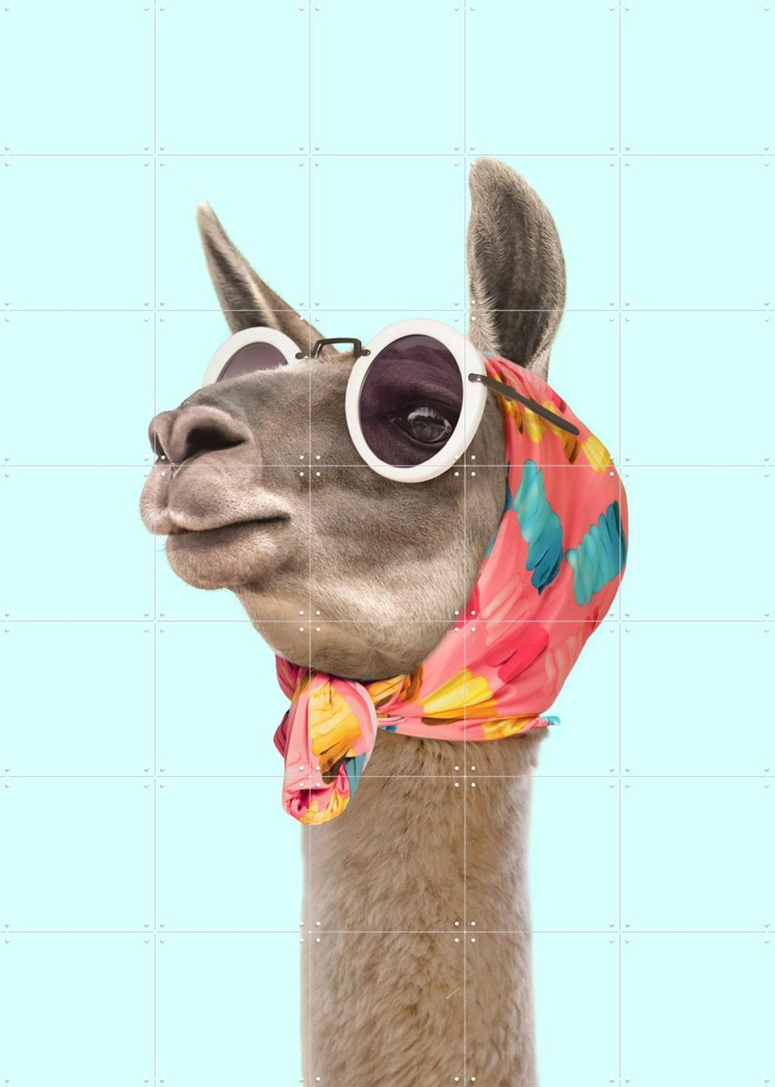 IXXI Fashion Lama, Paul Fuentes - 100 x 140 cm - Gratis ophangtool - Grote wanddecoratie en posters - Fotografie, Kleurrijk, Illustraties, Digitale