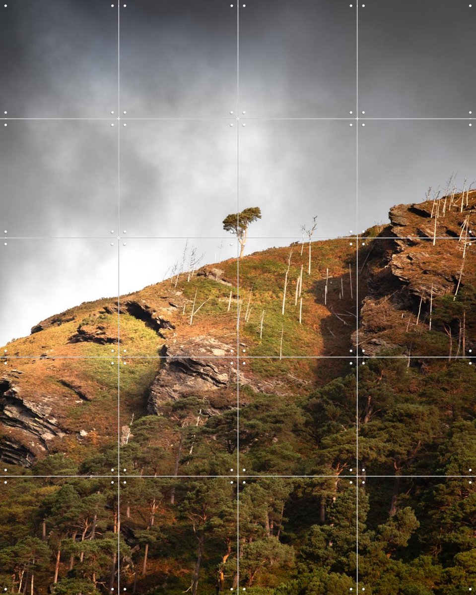 IXXI Lonely Tree Wicklow Mountains, Claire Droppert - 80 x 100 cm - Gratis ophangtool - Grote wanddecoratie en posters - Fotografie, Woonkamer