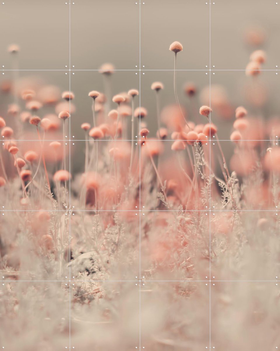 IXXI Pink Wild Flowers, Ingrid Beddoes - 80 x 100 cm - Gratis ophangtool - Grote wanddecoratie en posters - Fotografie, Impressionisme, Woonkamer