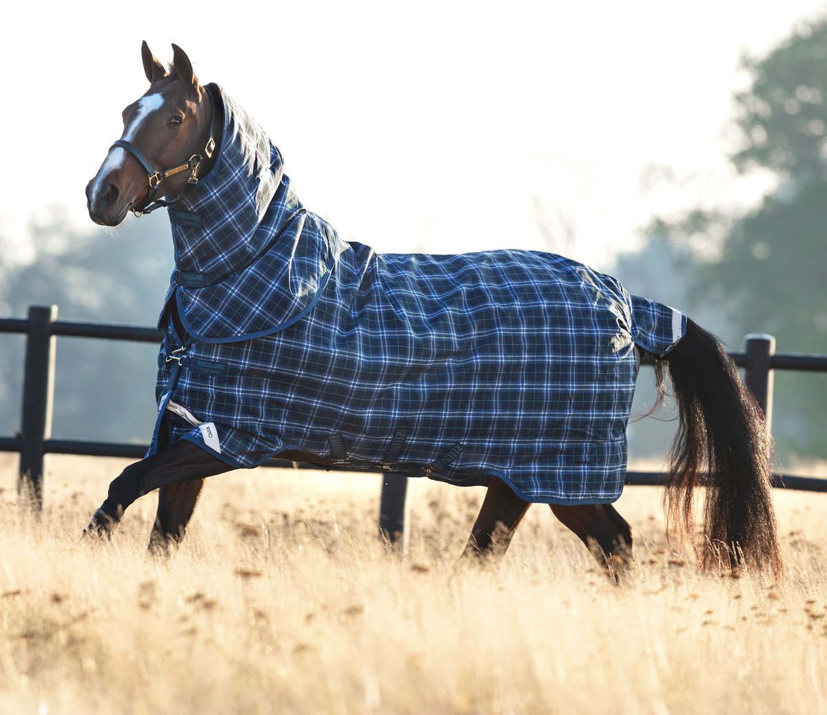 Rhino Turnout Lite Plus 0g-130-183-Navy