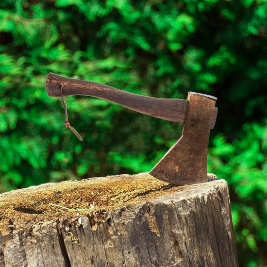 Vervangende Bijlsteel van Hout met Leren Lus en Wig - 260 mm Schokbestendig — afbeelding 2