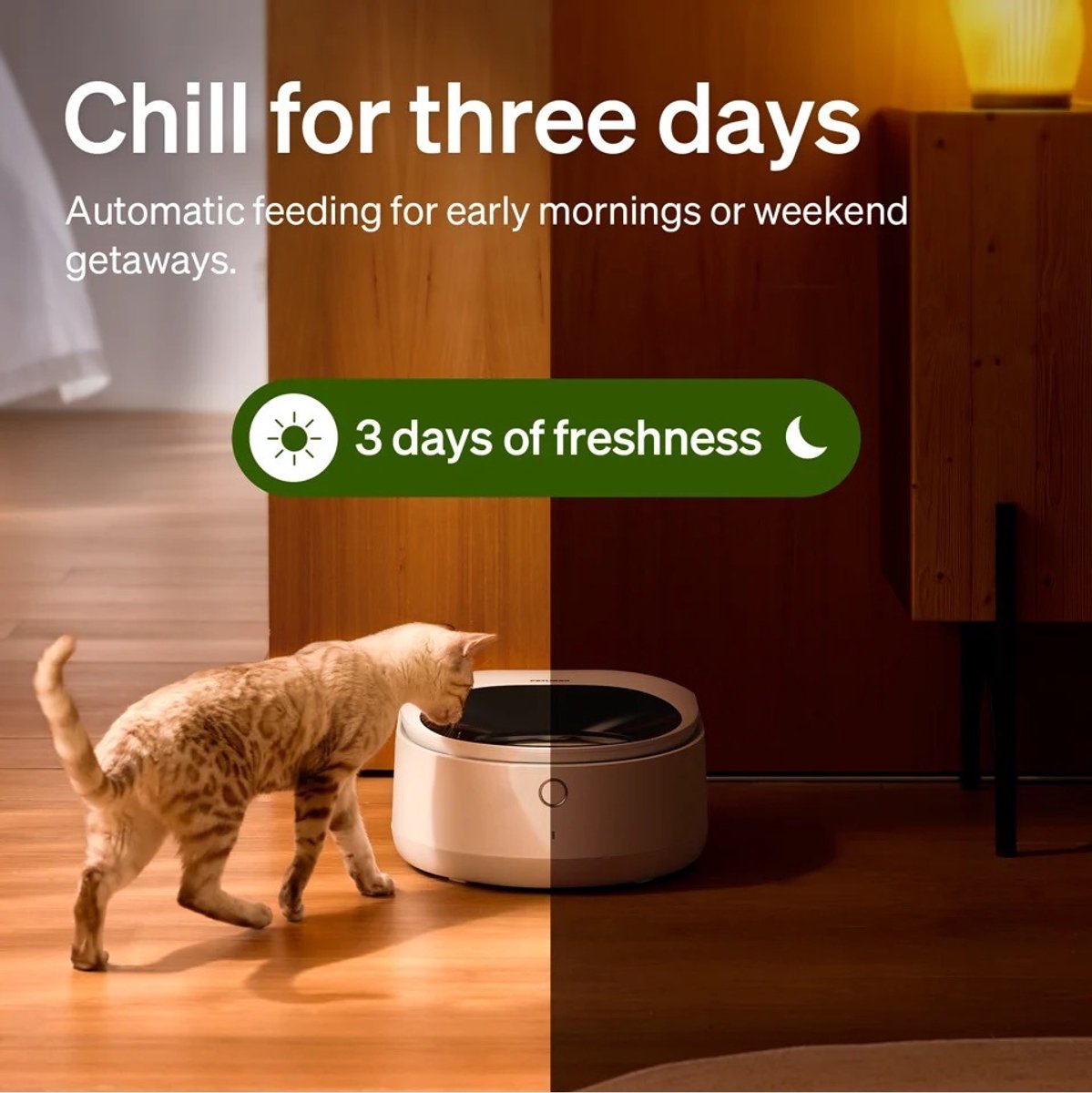 Petlibro Polar Automatische Natvoerdispenser Wit thumbnail 4