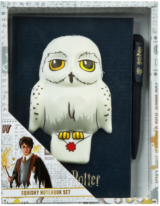 Doos met Harry Potter notitieboek en pen. Het notitieboek heeft een 3D Hedwig-uil en de tekst "Harry Potter".