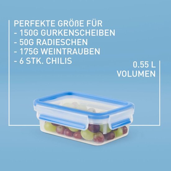 Clip & Close Fresh keeper - 0,55 l