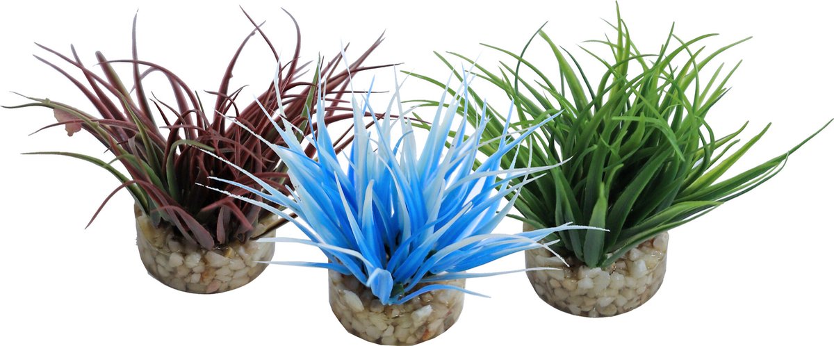 Sydeco aqua nano mos 8CM per stuk