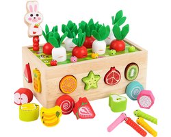Houten Speelgoed Montessori pour tout-petits | Jeu de tri et d'empilage 7 en 1 avec récolte de carottes, tri de fruits, vers magnétiques et lapin | Peinture à base d'eau testée | Cadeau Éducatif 1+ ans | Père Noël et Noël – Les Toys préférés de Jack