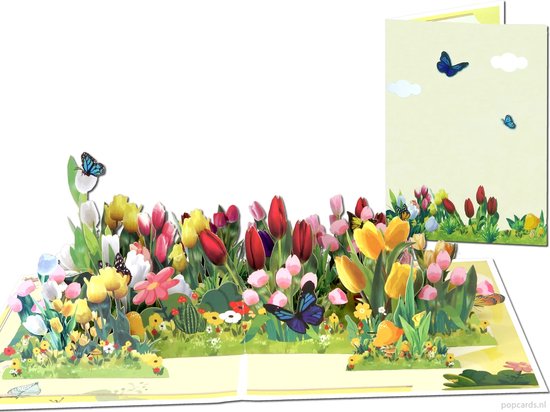 Popcards pop-up kaarten - Groot Tulpenveld vol met Kleurrijke Tulpen Bloemen Tulips Bloembollen Bollenstreek Keukenhof pop-up kaart 3D kaart wenskaart