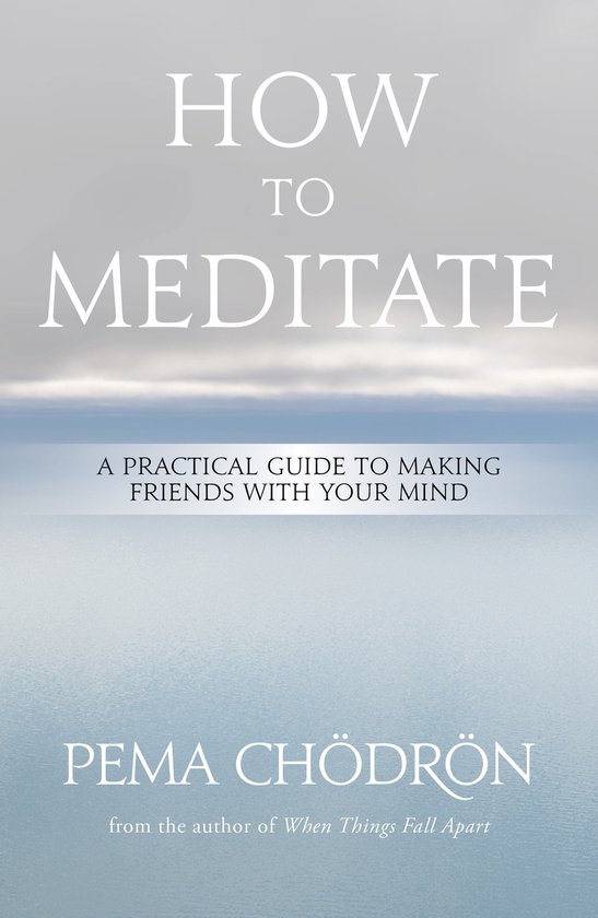 Boek met de titel 'HOW TO MEDITATE' in witte letters, met een zee- en luchtlandschap op de achtergrond.