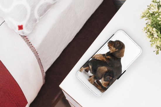 Telefoonhoesje Geschikt voor iPhone XR telefoonhoesje - Studio foto van twee lieve Teckels - Met vakjes - Wallet case met magneetsluiting