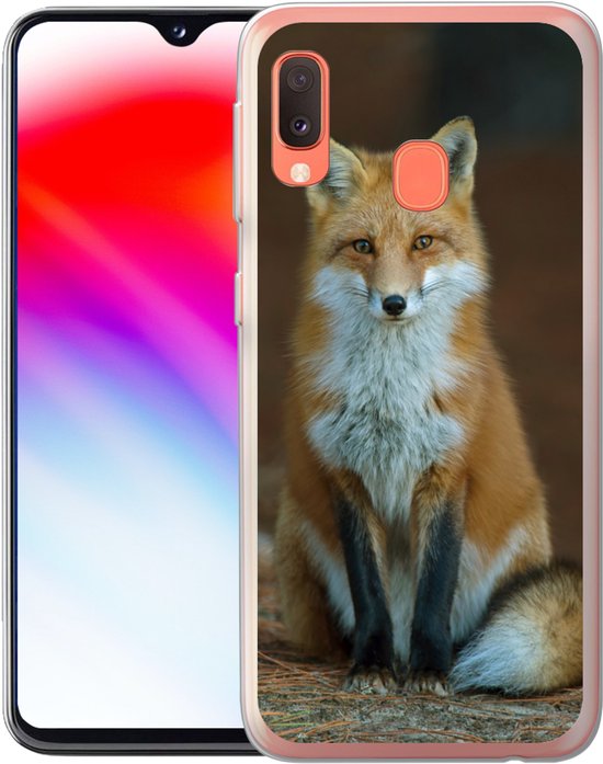 Coque Samsung Galaxy A20e - Renard - Macro - Rouge - Siliconen