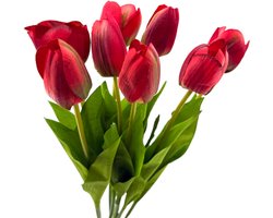 Set van 8 Natuurgetrouwe Kunsttulpen – 53 cm - Tulpen - Rood