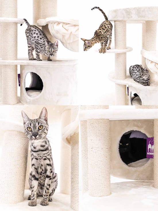 Arbre à chat Petrebels Isabella 170 Design - Crème - Qualité Premium - Arbre à chat XXL pour grands chats