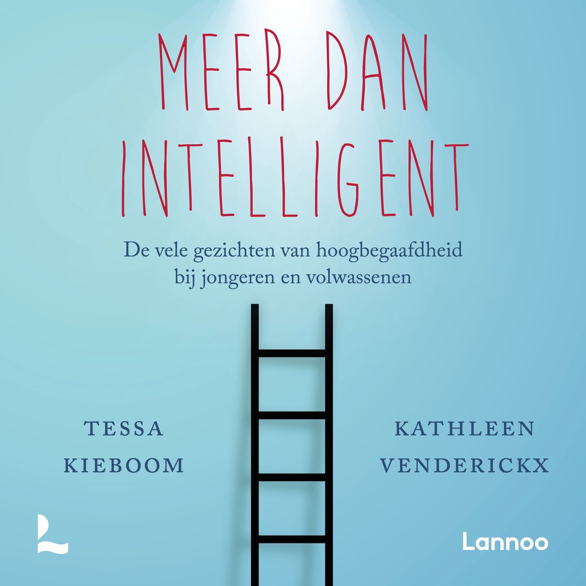 Omslag van Meer dan intelligent
