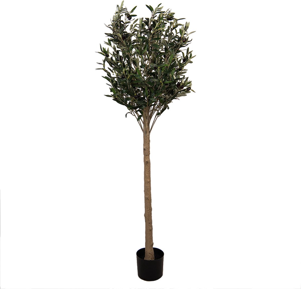 Clayre & Eef Kunst Olijfboom 165 cm Groen Kunststof