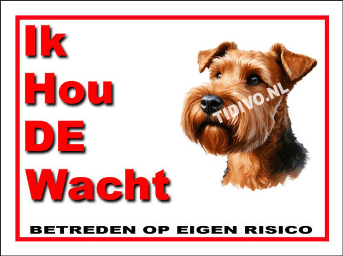 Ierse Terrier 7