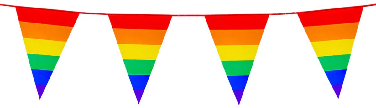 Vlaggenlijn Regenboog pride 10m.