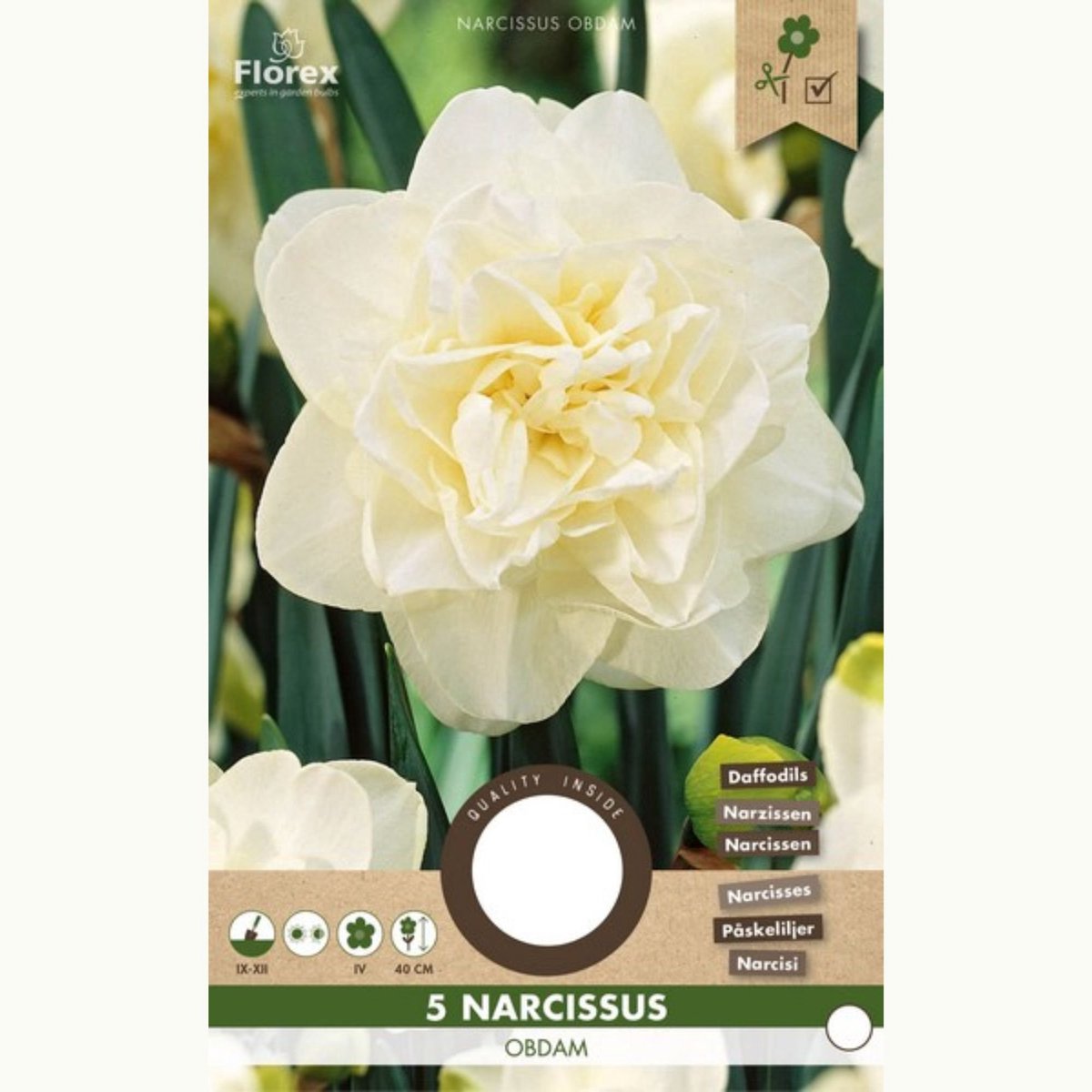 Narcis (Narcissus) - Obdam - sus - Snijbloemen - Geurend - Voorjaarsbollen - bloeit in April / Mei