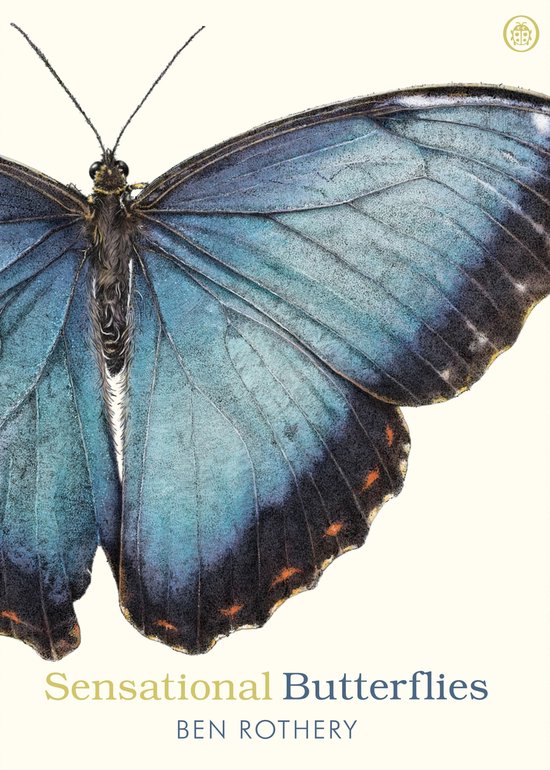 Sensational Butterflies - cover