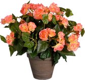 Mica Decorations Kunstplant - begonia - zalmroze - in pot - 37 cm - nepplanten