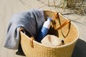 Blauwe Dopper drinkfles in een rieten mand met een handdoek en strooien hoed.