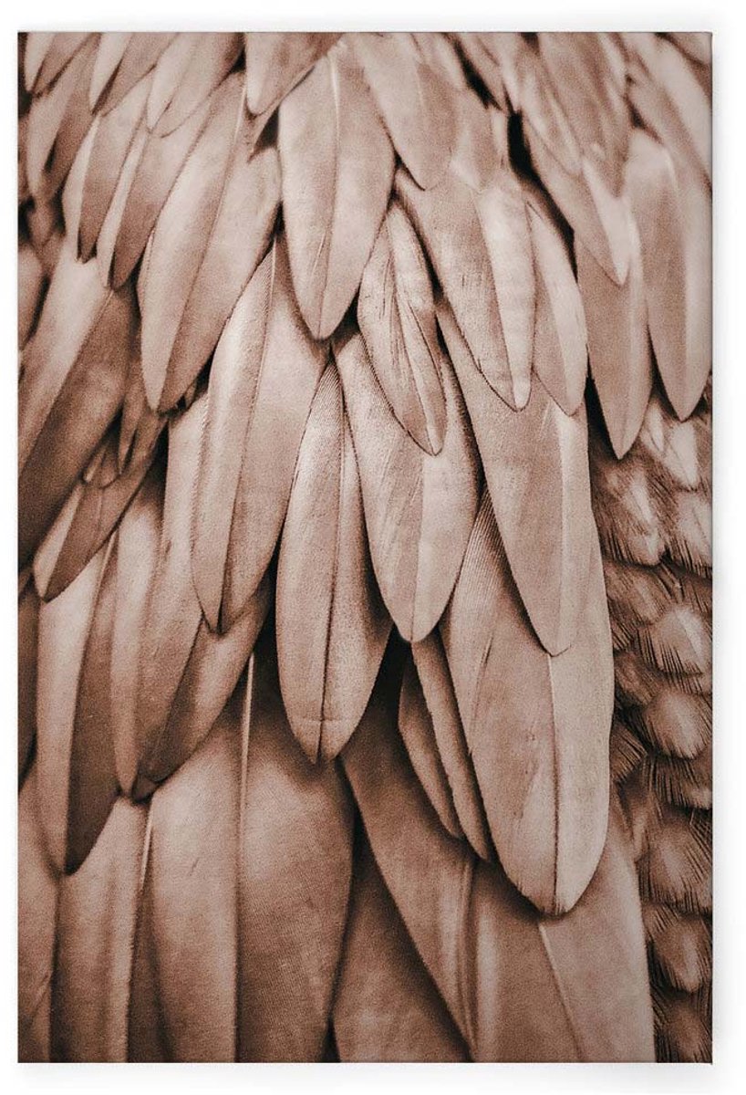 Canvas DD124836 Feathers1 A. S. Création