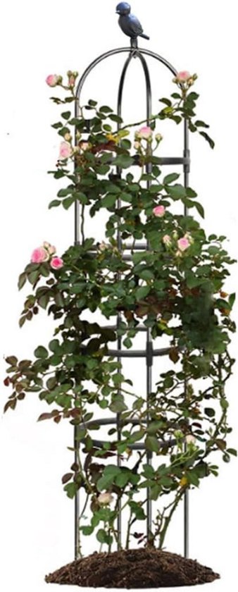 Tuinplanten kopen? . . Laagste Prijsgarantie Tuinplanten kopen? . . Laagste Prijsgarantie