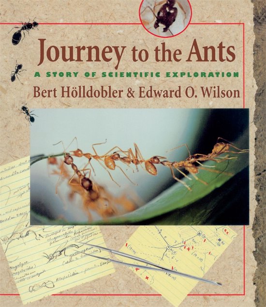 Journey to the Ants