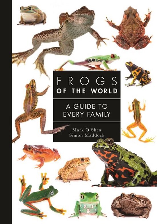 A Guide to Every Family - Frogs of the World - cover