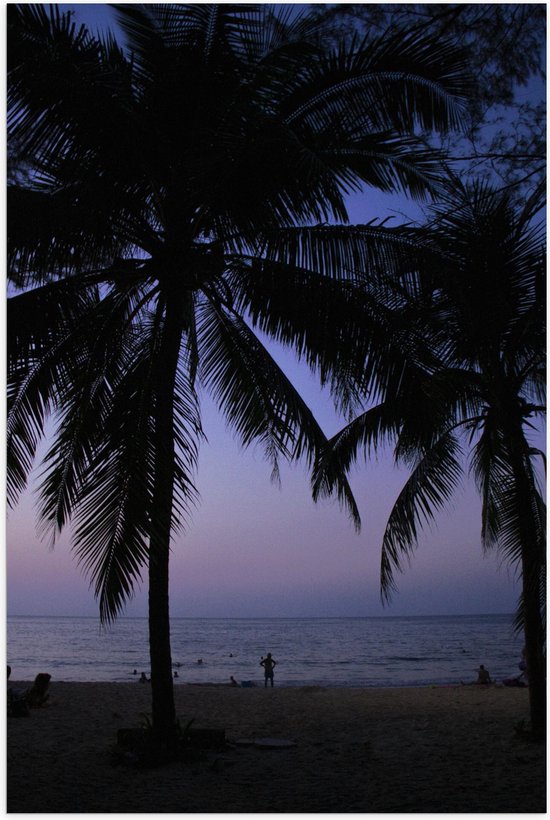 WallClassics - Poster Glanzend – Silhouet van Palmbomen tegen de Avond op het Strand - 40x60 cm Foto op Posterpapier met Glanzende Afwerking