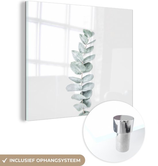 MuchoWow® Glasschilderij 20x20 cm - Schilderij acrylglas - Plant - Groen - Natuur - Wit - Foto op glas - Schilderijen