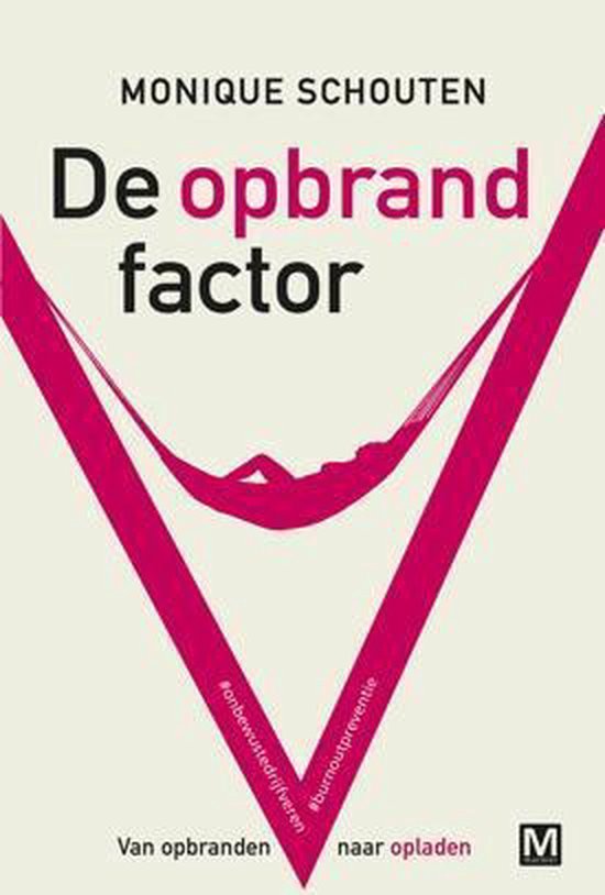 De opbrandfactor - cover